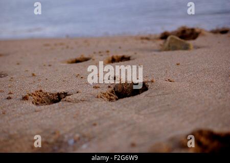 Tiefen Hund Pfotenabdrücke im Sand am Strand von Donmouth, Aberdeen, Schottland Stockfoto