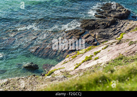 Blick vom Wanderweg Polzeath/Daymer Bay, North Cornwall, Großbritannien. 6. September 2015 übernommen. Stockfoto