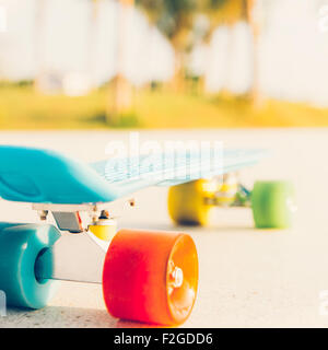 Blue Penny Board mit bunten Rädern steht auf der Strecke vor den Palmen. Rückansicht Stockfoto