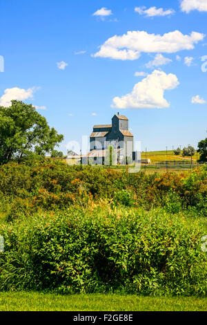 Die Wibaux Koop-Kornlift Firmengebäude in Montana Stockfoto