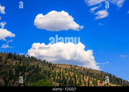 Die Hügel, die das Silber-Tal in der Shoshone County of Idaho umgeben Stockfoto