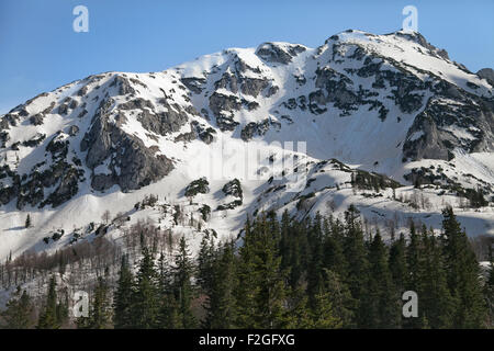 Berg mit Schnee bedeckt, Nationalpark Durmitor, Serbien Stockfoto