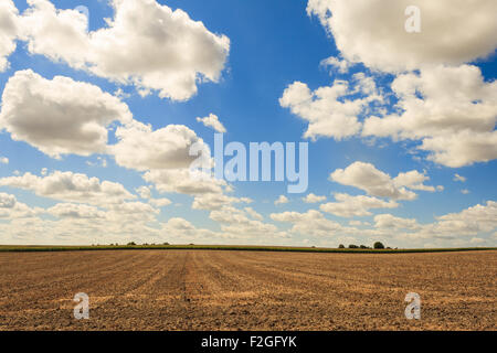 mit Blick auf eine gemähte Feld und Himmel mit Wolken Stockfoto