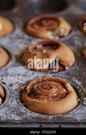 Kanelbullar der schwedischen Zimt Rollen Stockfoto