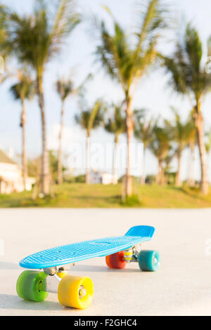 blaue Shortboard Penny Board mit bunten Rädern steht auf der Strecke in der Nähe von Palmen Stockfoto