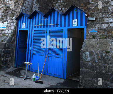 Blauen Toiletten gebaut in der Wand, männlich und weiblich Annehmlichkeiten Geld auf dem Teller als Dankeschön für die Anlage Relief ahhrrrr Stockfoto