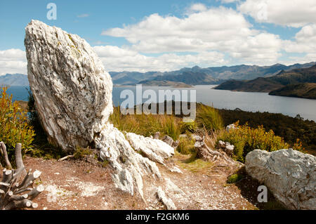 Pedder Lake in der Nähe von Gordon Dam - Tasmanien Stockfoto