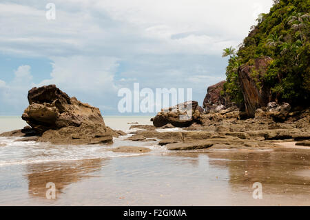 Bako Nationalpark - Borneo - Malaysia Stockfoto