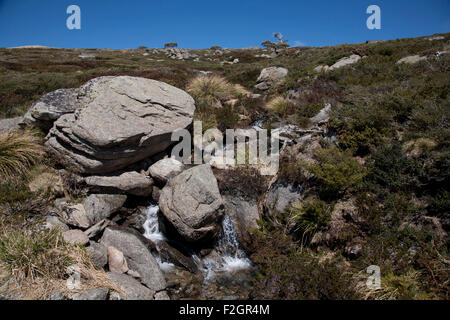 Unberührten Schneeschmelze Gebirgsbach mündet in den Snowy River Kosciuszko National Park Australien Stockfoto