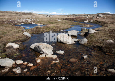 Oberlauf des Snowy River in Kosciuszko National Park Snowy Mountains NSW Australia Stockfoto