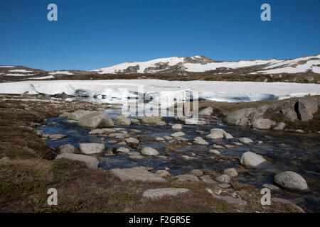 Oberlauf des Snowy River im Kosciuszko National Park Snowy Mountains NSW Australia Stockfoto