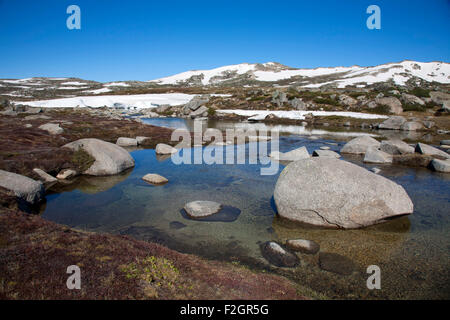 Quellgebiet des Snowy River in Kosciusko National Park Snowy Mountains NSW Australia Stockfoto