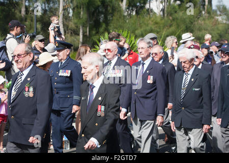 pensionierte militärische Verteidigung Personal marschieren in Sydney während ein ANZAC Day-Parade, Australien Stockfoto