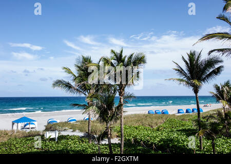 Delray Beach Florida, Atlantischer Ozean, Küste, Wright am Meer, Hotel, alt, Palmen, FL150413054 Stockfoto