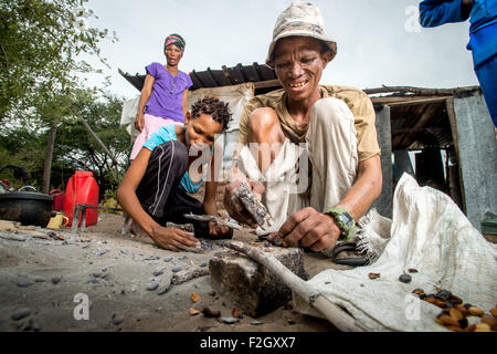 Buschmänner oder San Leute, die Zubereitung von Speisen in Botswana, Afrika Stockfoto