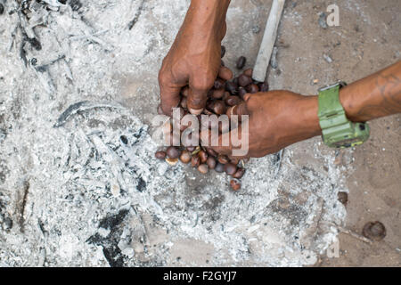 Buschmänner oder San Leute, die Zubereitung von Speisen in Botswana, Afrika Stockfoto