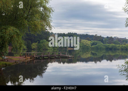 Kleinen Steg am idyllischen Daylesford See nach Frühlingsregen. Australien. Stockfoto