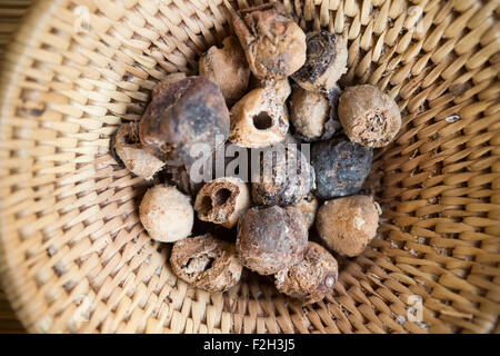 getrocknete Früchte in handgewebte Schüssel in Botswana, Afrika Stockfoto
