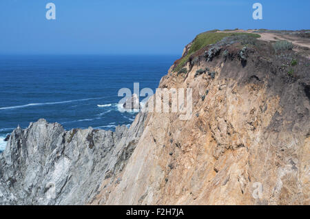 Bodega Head Halbinsel pazifische Küste von Kalifornien und felsige Küste von Sonoma Coast State park Stockfoto