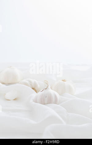 Knoblauch auf weißem Hintergrund Stockfoto