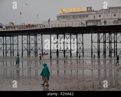 Leute, die Spaß am Rand des Wassers bei Ebbe in Brighton Stockfoto