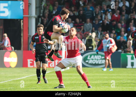 Rugby-Weltmeisterschaft 2015 - Tonga gegen Georgien haben ihr erste Spiel in der WM Spiel im Kingsholm Stadium Gloucester statt Stockfoto