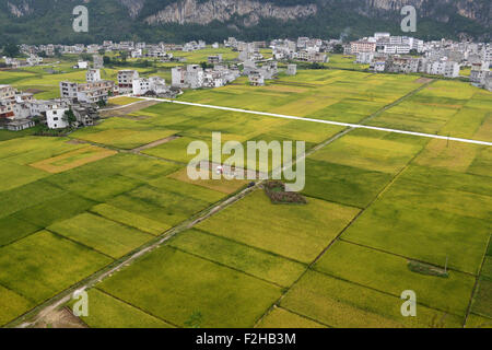 (150919)--BAISE, 19. September 2015 (Xinhua)--Foto aufgenommen am 14. September 2015 zeigt das Reisfeld in bestehende County Baise Stadt, Süd-China Guangxi Zhuang Autonome Region. Die Erntesaison ist durch Reife Pflanzen gefärbt. (Xinhua/Wei Wanzhong) (Zkr) Stockfoto