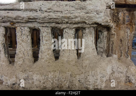 Salzkristallen bedeckt Holzkonstruktionen in den Salzminen Stockfoto