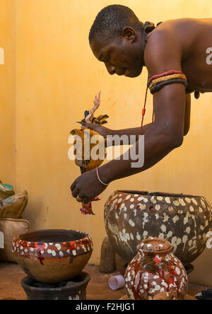 Benin, Westafrika, Bonhicon, die Schlachtung eines Huhns in einem Ritual Opfern während einer Voodoo-Zeremonie, die von Kagbanon Bebe Priester geführte Stockfoto