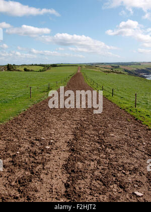 Feldweg durch Ackerland, Devon, UK Stockfoto