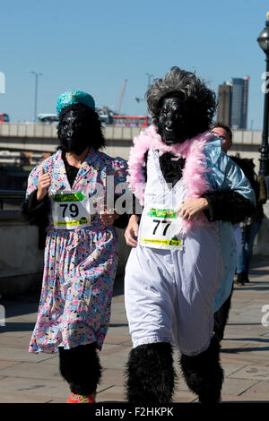 London, UK. 19. September 2015. Die großen Gorilla eine Charity run zugunsten der Gorilla Organization, London, England. Bildnachweis: Simon Balson/Alamy Live-Nachrichten Stockfoto