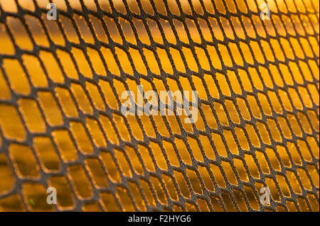 Sunrise with soccer nets spaced out in field with mist in early morning light Stockfoto
