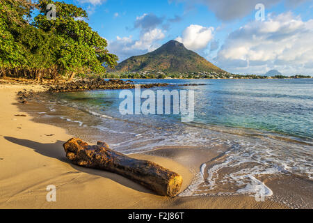 Felsigen und sandigen Ufer in Tamarin Bay, Wolmar, Insel Flic En Flac, Mauritius, Indischer Ozean Stockfoto