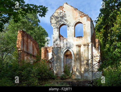 Überwucherten Ruinen eines alten Herrenhauses Stockfoto