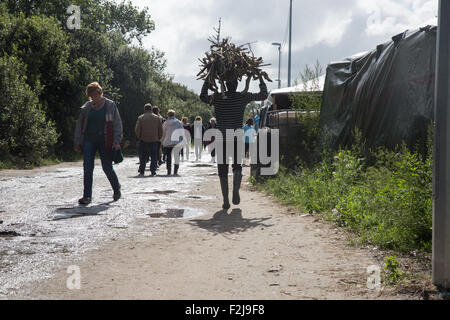 Calais, Frankreich. 19. September 2015. Ein afrikanischer Flüchtling sammelt Feuerholz im Dschungelcamp Calais Credit: auf Anblick Photographic/Alamy Live News Stockfoto