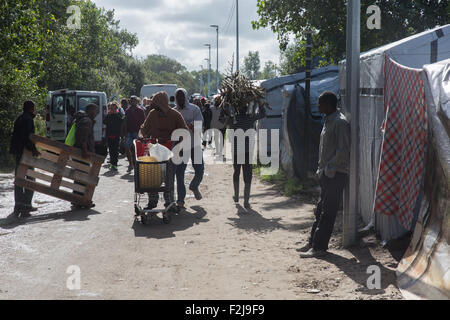 Calais, Frankreich. 19. September 2015. Afrikanische Flüchtlinge Brennholz im Dschungelcamp Calais Kredit zu sammeln: auf Anblick Photographic/Alamy Live News Stockfoto