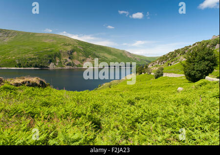 Haweswater Reservoir im englischen Lake District. Cumbria, UK, Frühsommer. Stockfoto