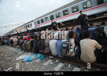 Tovarnik, Kroatien. 19. Sep, 2015. Polizisten stehen zwischen wartenden Flüchtlinge und einen Zug in Tovarnik, Kroatien, 19. September 2015. Foto: Marijan Murat/Dpa/Alamy Live News Stockfoto