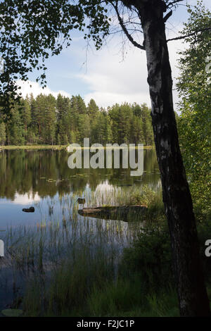 Blick auf schwedischen See umgeben von Wäldern, Glaskogen Naturreservat, Värmland, Schweden Stockfoto