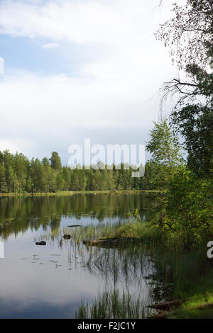 Blick auf schwedischen See umgeben von Wäldern, Glaskogen Naturreservat, Värmland, Schweden Stockfoto