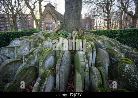 Robuster Baum, St Pancras alte Kirche Friedhof Stockfoto