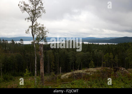 Blick auf Glaskogen Naturreservat, Värmland, Schweden Stockfoto