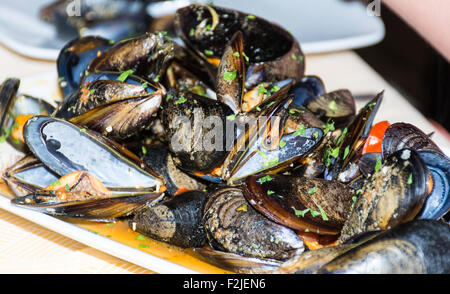 Ein Gericht aus Muscheln Bilder mit Tomatensauce, offen, bereit um zu essen, in einer Tabelle zu verbreiten. Stockfoto