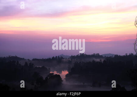 Nebligen Morgen in Kodaikanl Stockfoto