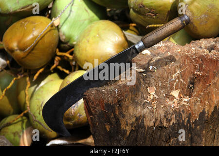 Messer und zarten Kokosnuss Stockfoto