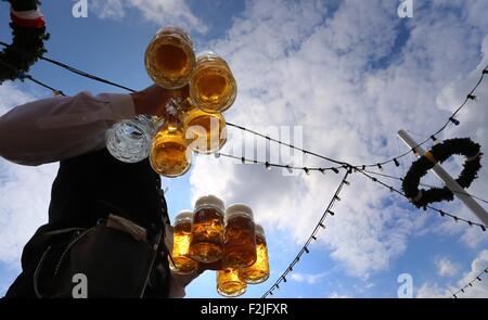 München, Deutschland. 20. Sep, 2015. Eine Kellnerin trägt Bierkrüge auf dem 182. Oktoberfest in München, Deutschland, 20. September 2015. Die weltweit größte Bier-Festival, 4. Oktober 2015 abgeschlossen wird, wird voraussichtlich rund 6 Millionen Besucher aus aller Welt in diesem Jahr gewinnen. Foto: KARL-JOSEF HILDENBRAND/Dpa/Alamy Live News Stockfoto