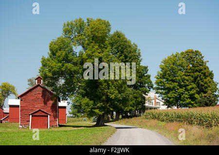 Ein alten hölzernen Hop Haus früher für Trocknung Hopfen neben dem Bauernhaus und dem Maisfeld im Bundesstaat West Bern, New York, U.S.A. Stockfoto