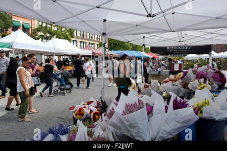 Blumen zum Verkauf an den Markt der Union Square in Manhattan, New York City, New York Staat, Vereinigte Staaten von Amerika Stockfoto