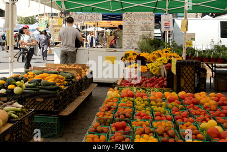 Tomaten, Kürbis und Sonnenblumen für Verkauf auf dem Markt der Union Square Verkauf Bauernhof produzieren in Manhattan, New York City. Stockfoto