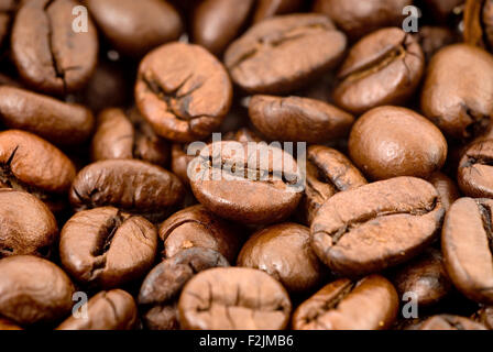 Kaffeebohnen-Studio gedreht Makro Nahaufnahme Stockfoto